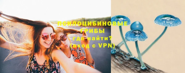первитин Алексеевка