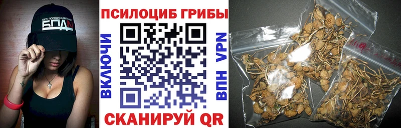 где продают наркотики  Кемерово  Галлюциногенные грибы Psilocybine cubensis 