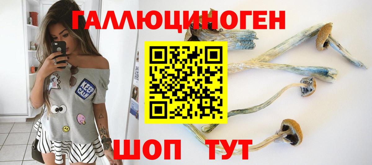 Кемерово  Галлюциногенные грибы ЛСД  Вход с VPN  Галлюциногенные грибы мицелий 